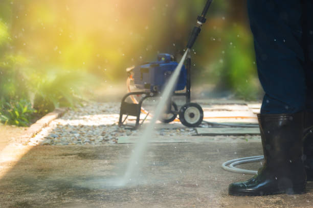 Best Roof Washing  in Ilion, NY